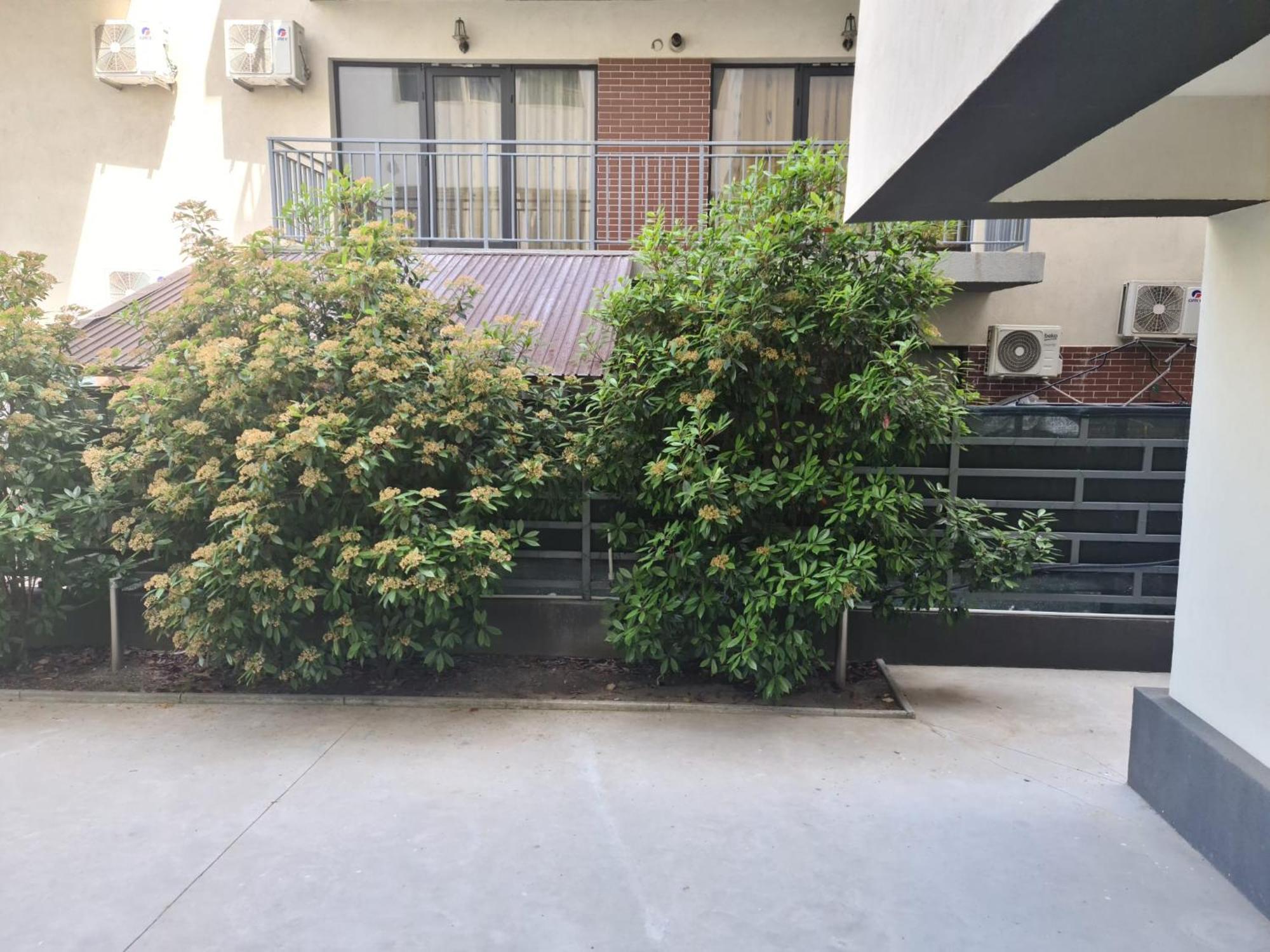Apartament Deea Navodari Luaran gambar